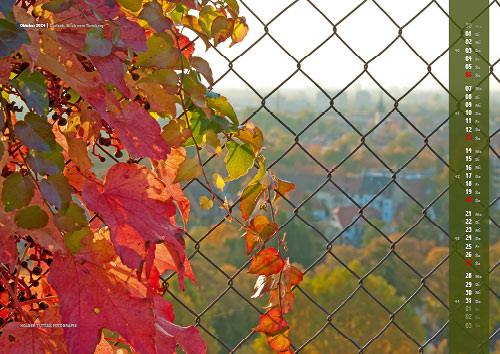 Kalenderblatt Oktober 2024: Blick vom Turmberg auf Karlsruhe